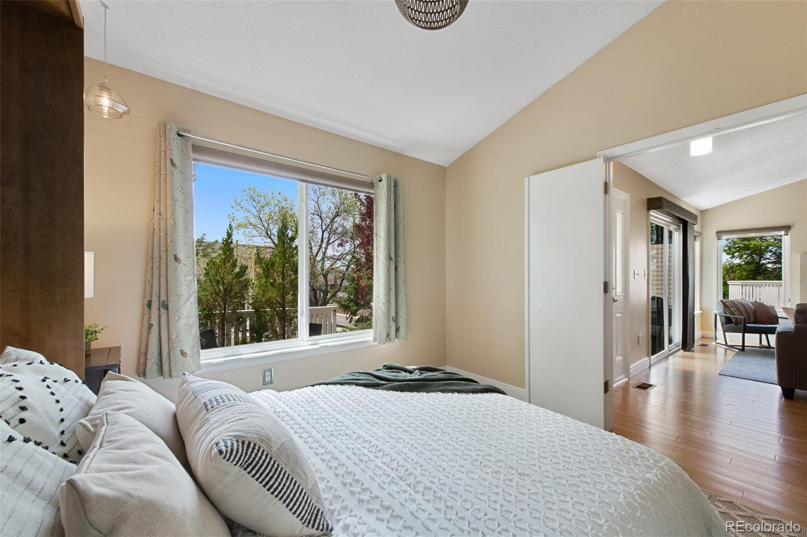 MLS Image #13 for 150  blue spruce court,highlands ranch, Colorado