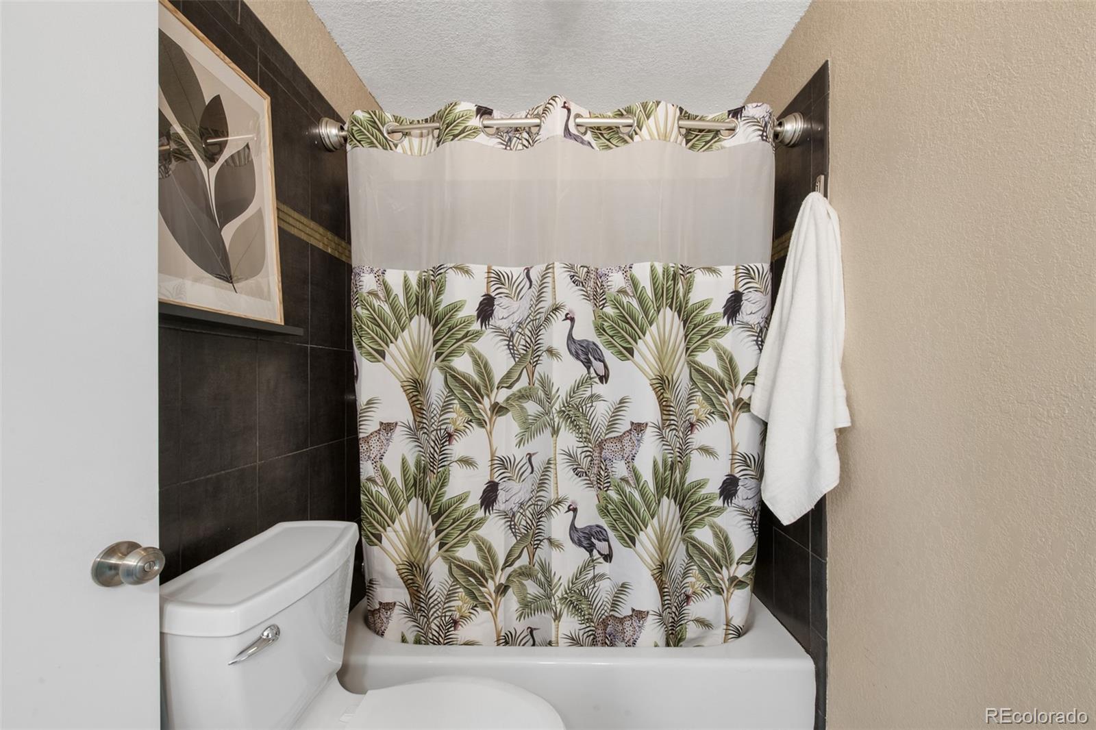 MLS Image #15 for 150  blue spruce court,highlands ranch, Colorado