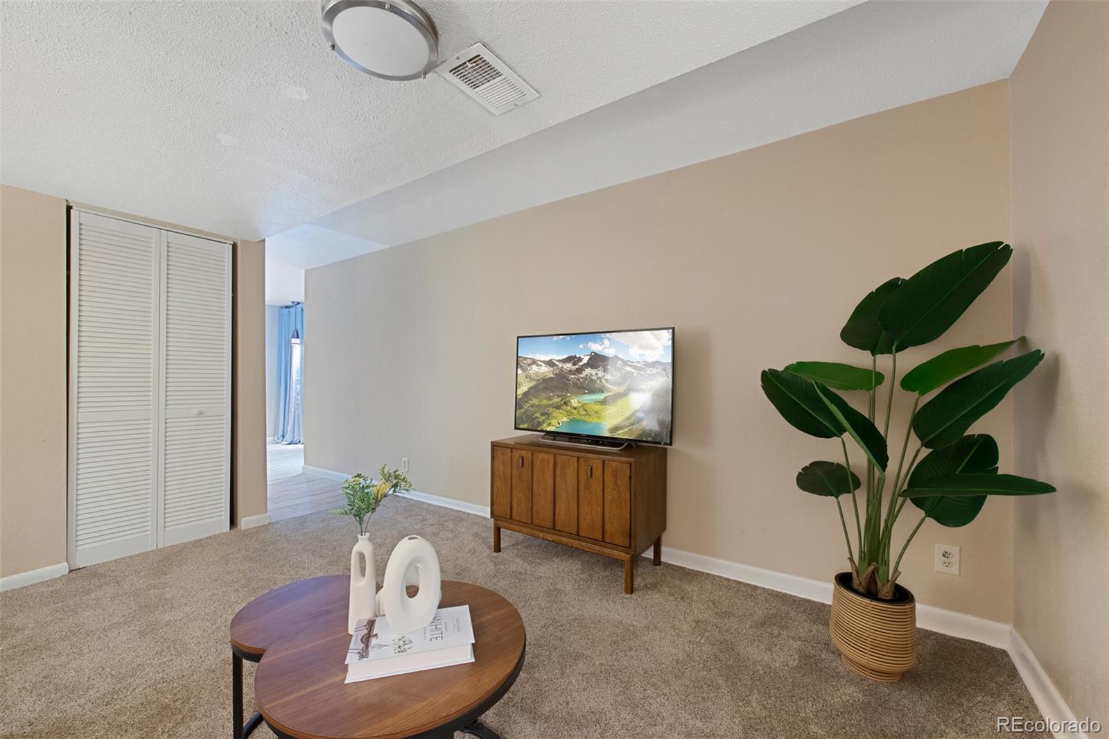 MLS Image #29 for 150  blue spruce court,highlands ranch, Colorado