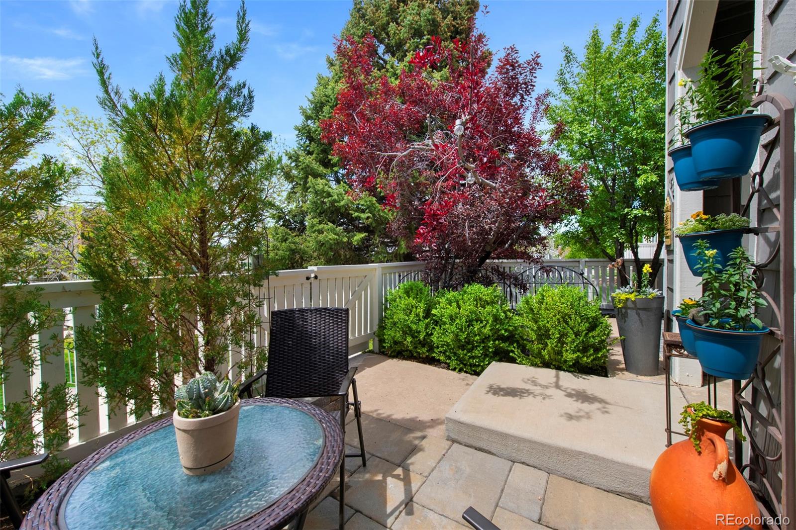 MLS Image #6 for 150  blue spruce court,highlands ranch, Colorado