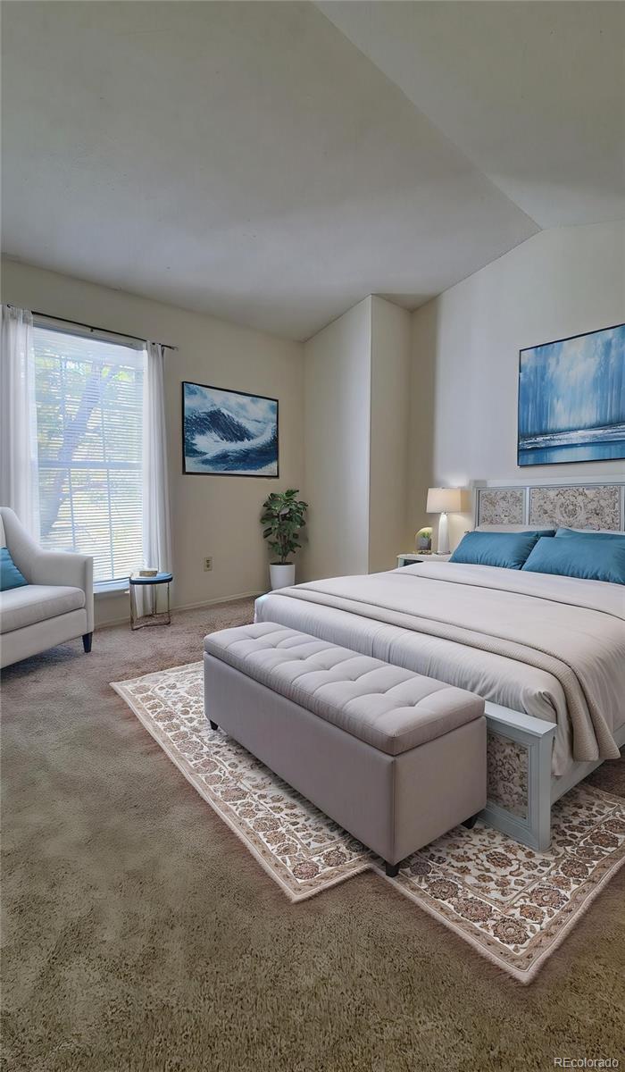 MLS Image #10 for 10810  summerset way,parker, Colorado