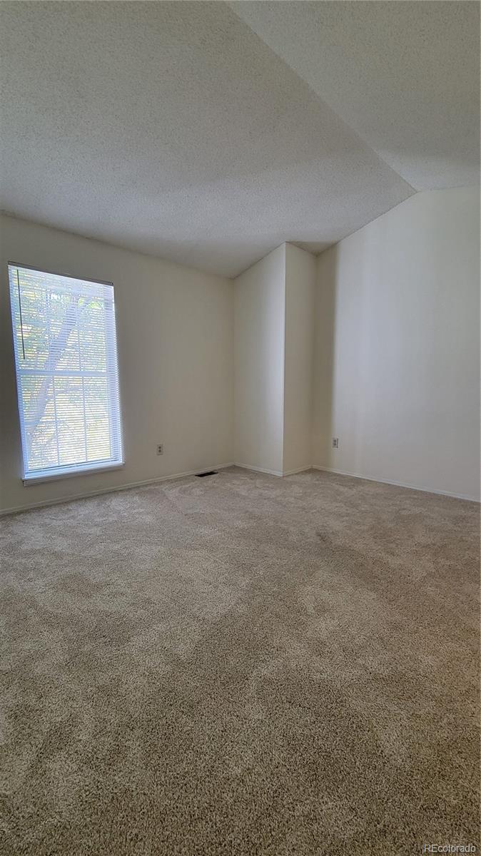 MLS Image #11 for 10810  summerset way,parker, Colorado