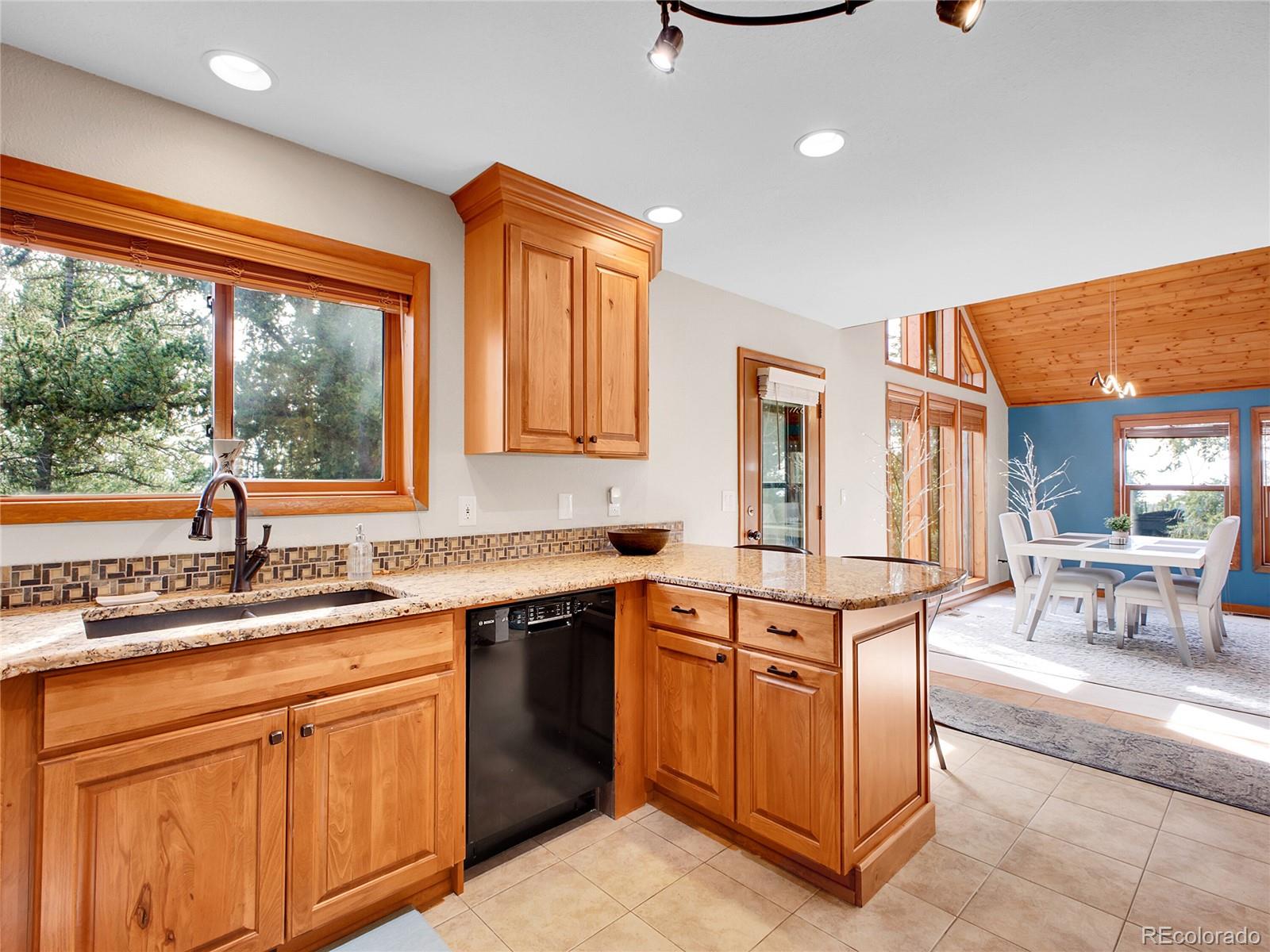 MLS Image #11 for 385  pine drive,fairplay, Colorado