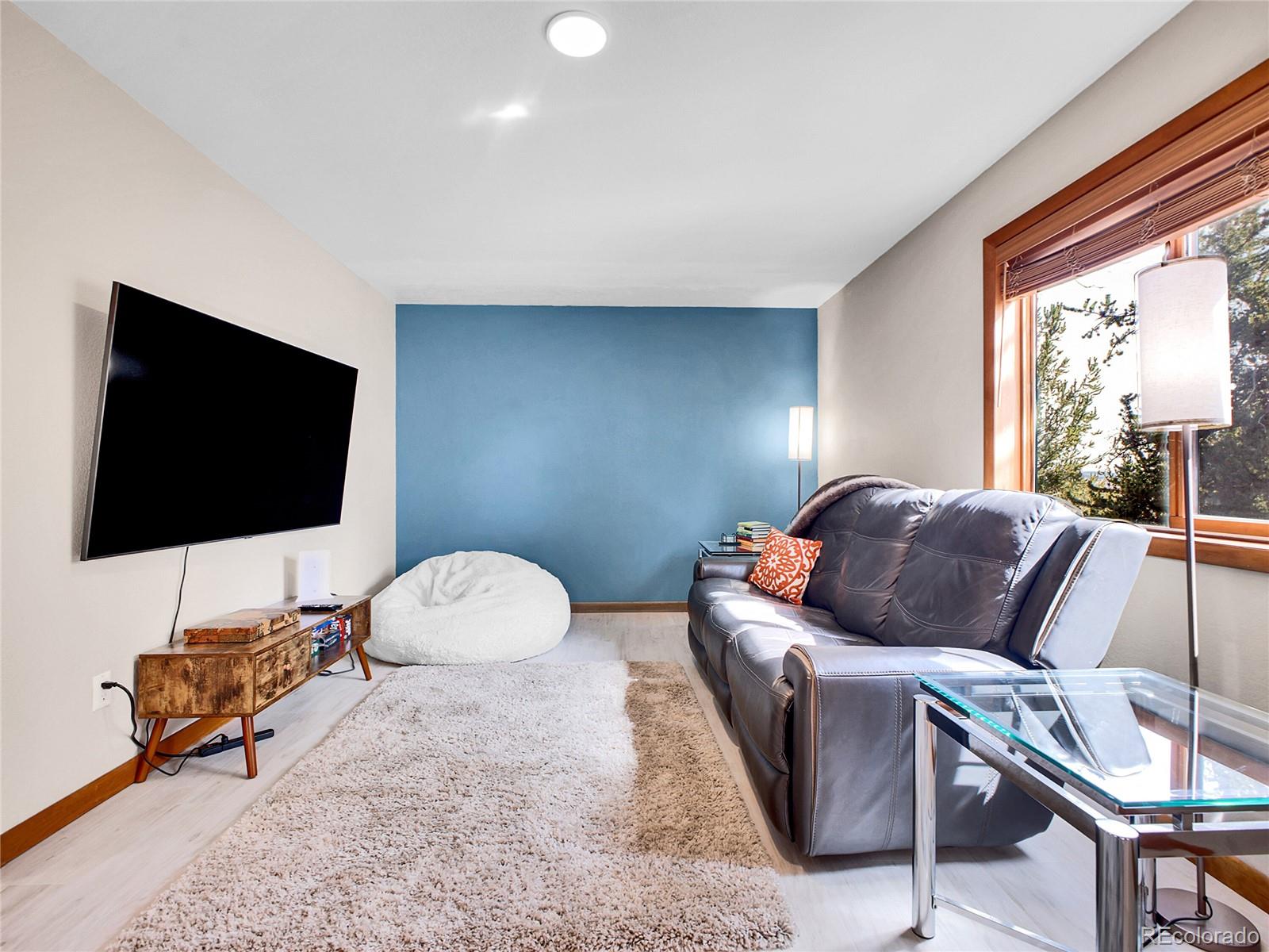 MLS Image #19 for 385  pine drive,fairplay, Colorado
