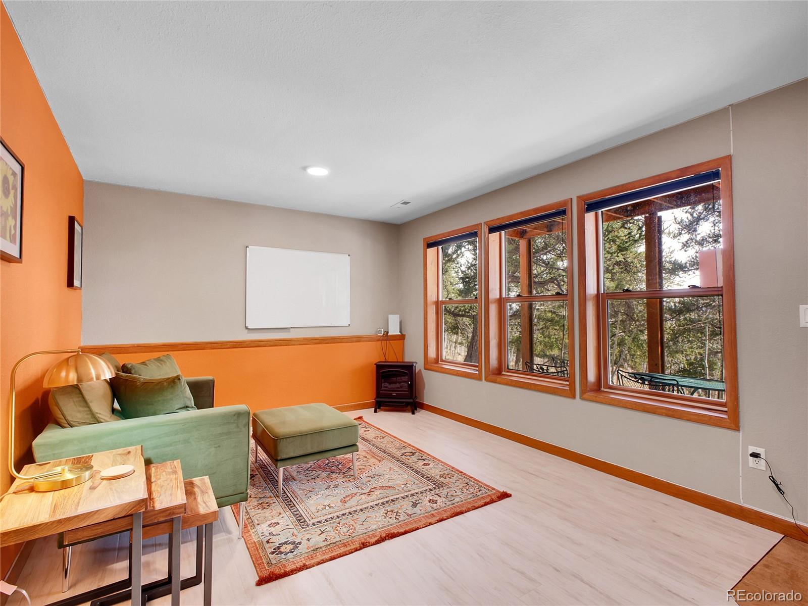 MLS Image #25 for 385  pine drive,fairplay, Colorado