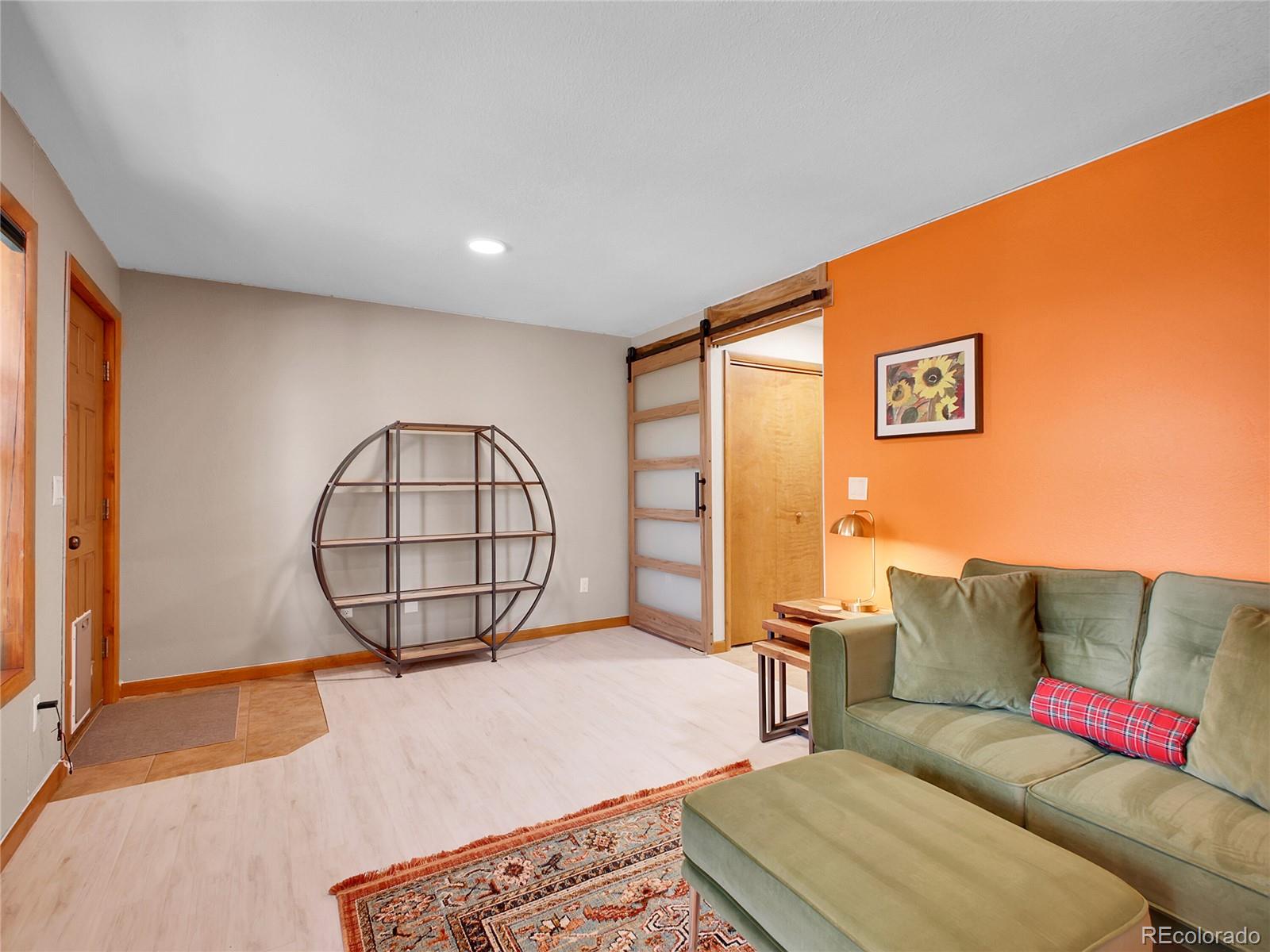 MLS Image #26 for 385  pine drive,fairplay, Colorado