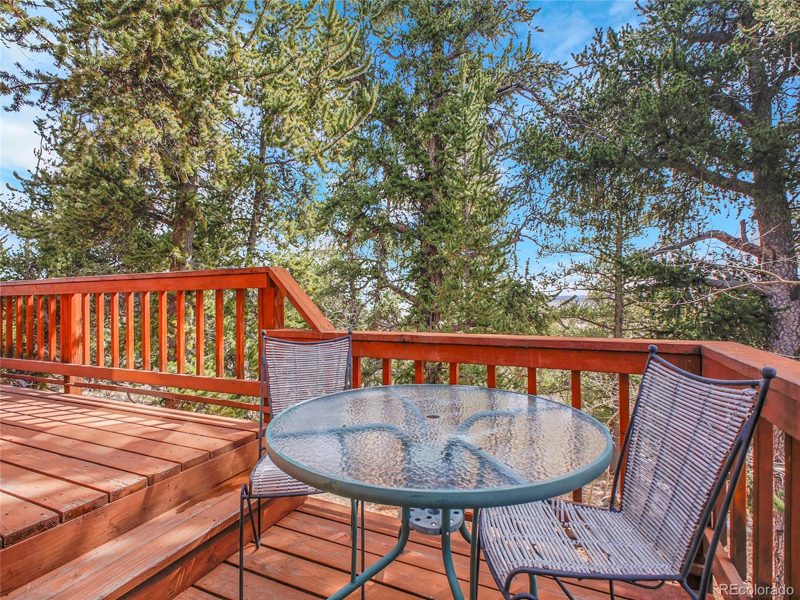 MLS Image #29 for 385  pine drive,fairplay, Colorado