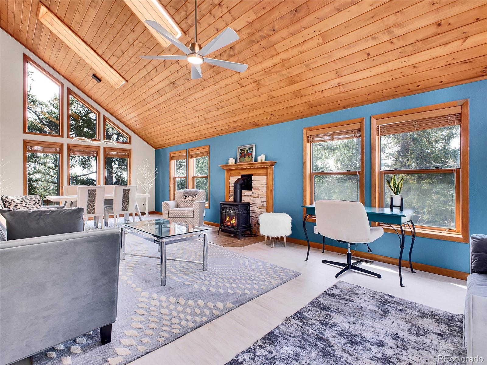 MLS Image #3 for 385  pine drive,fairplay, Colorado