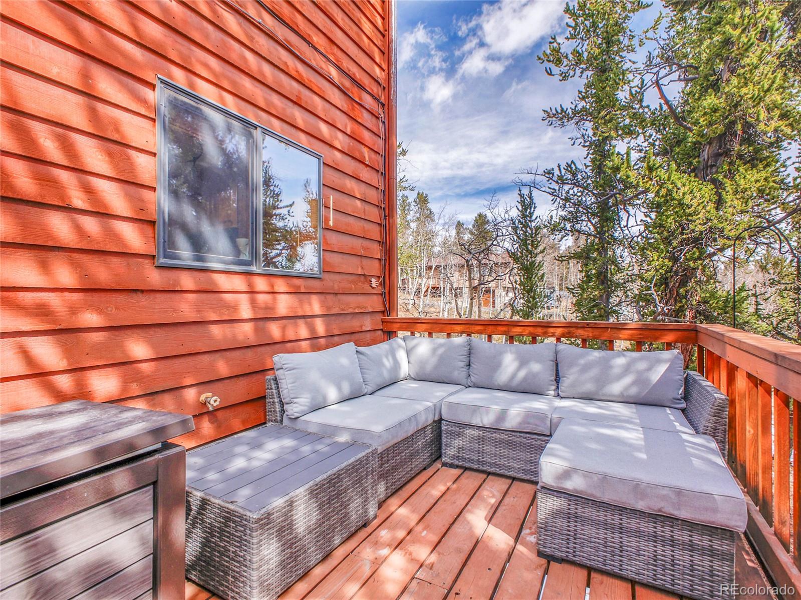 MLS Image #30 for 385  pine drive,fairplay, Colorado