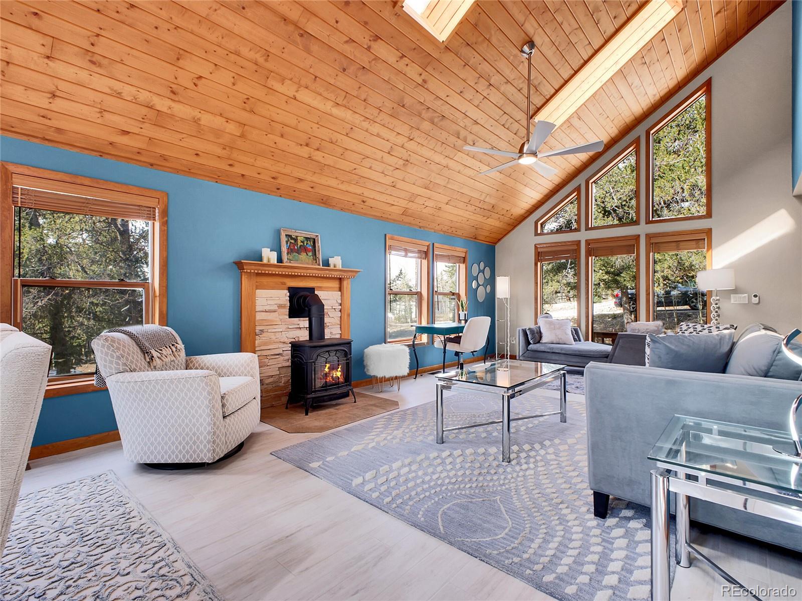 MLS Image #4 for 385  pine drive,fairplay, Colorado