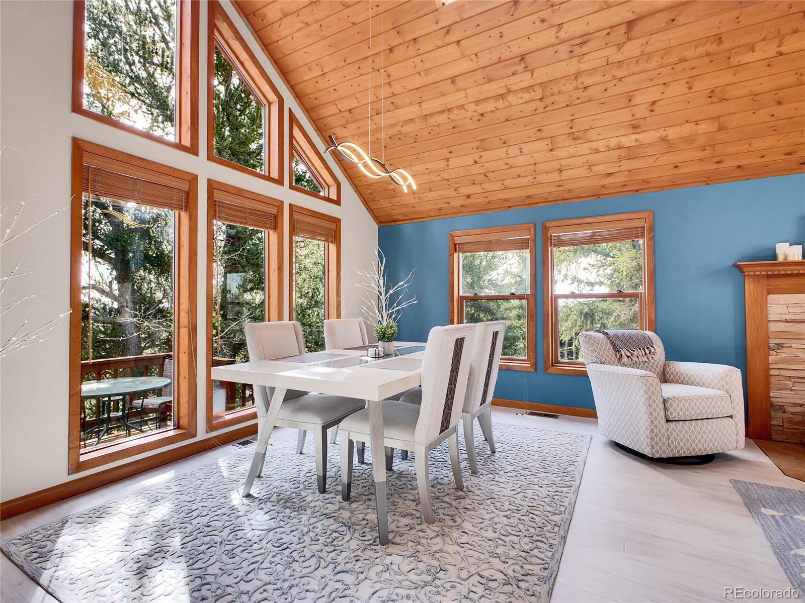 MLS Image #6 for 385  pine drive,fairplay, Colorado