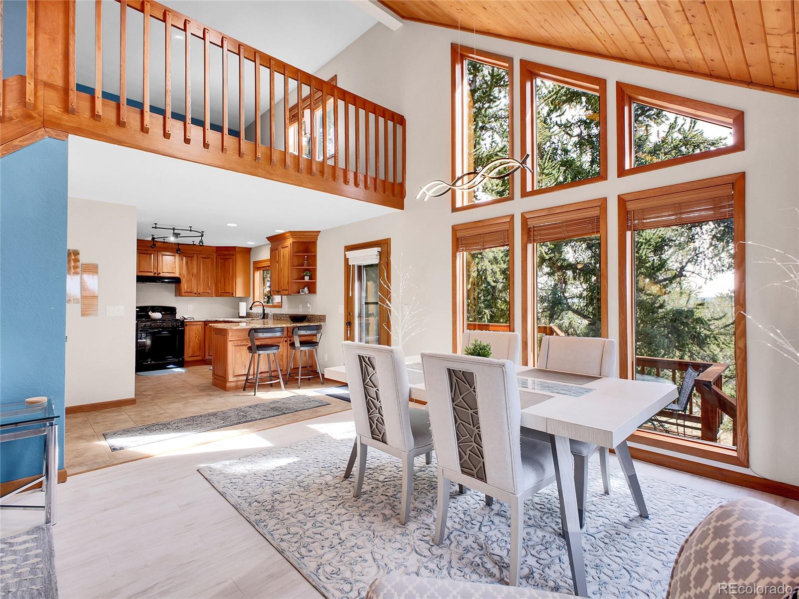 MLS Image #9 for 385  pine drive,fairplay, Colorado