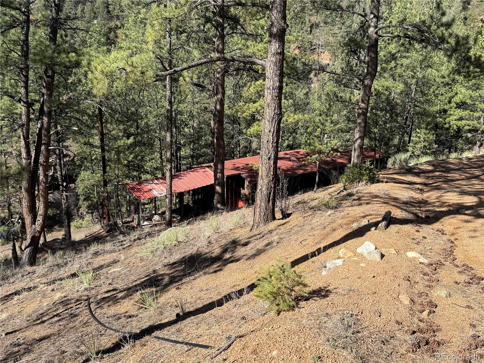 MLS Image #17 for 15858 s elk creek road,pine, Colorado