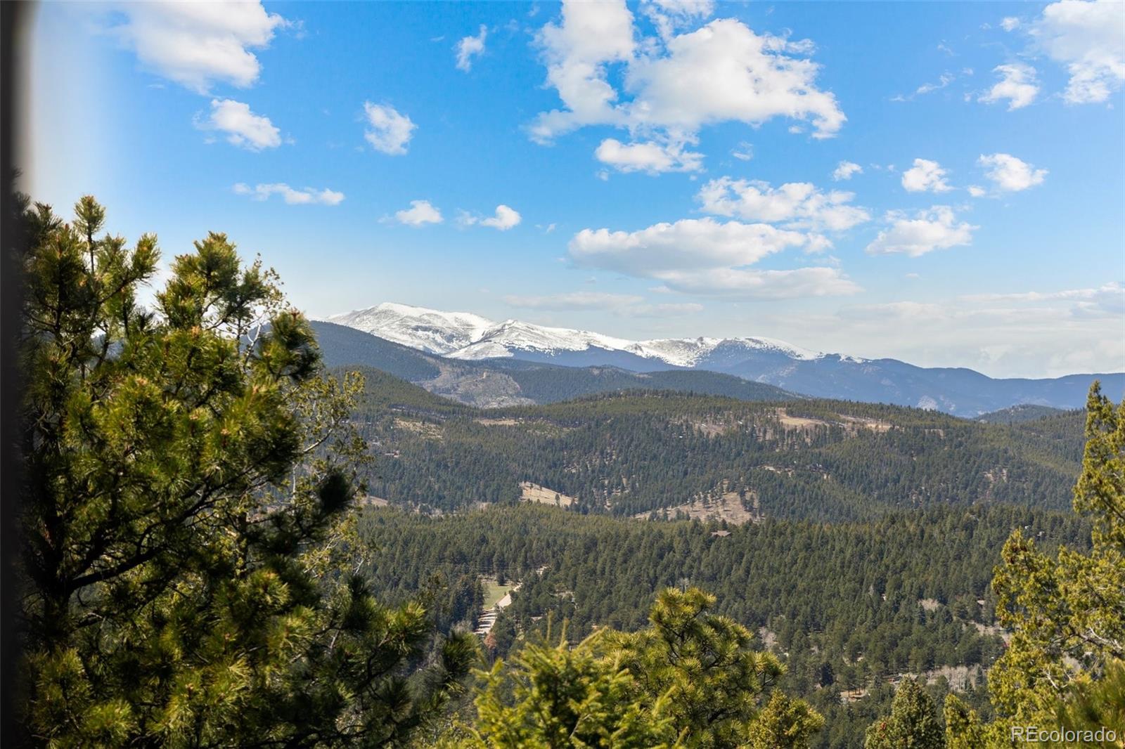 MLS Image #16 for 8724  armadillo trail,evergreen, Colorado