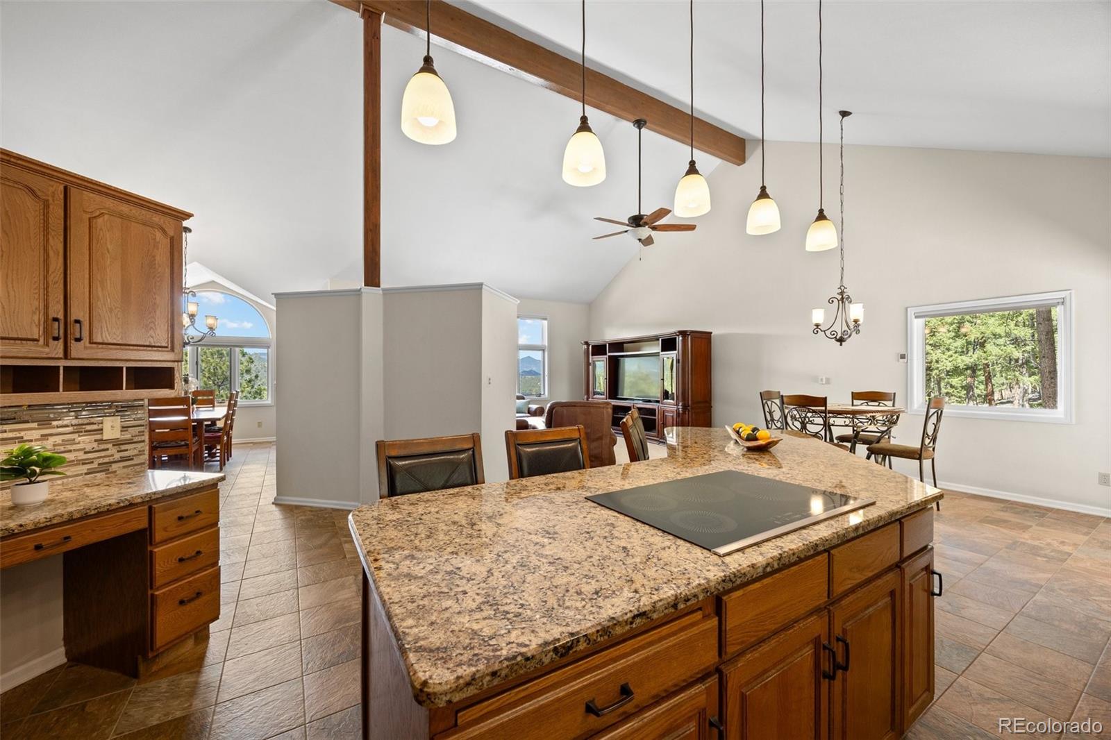 MLS Image #9 for 8724  armadillo trail,evergreen, Colorado