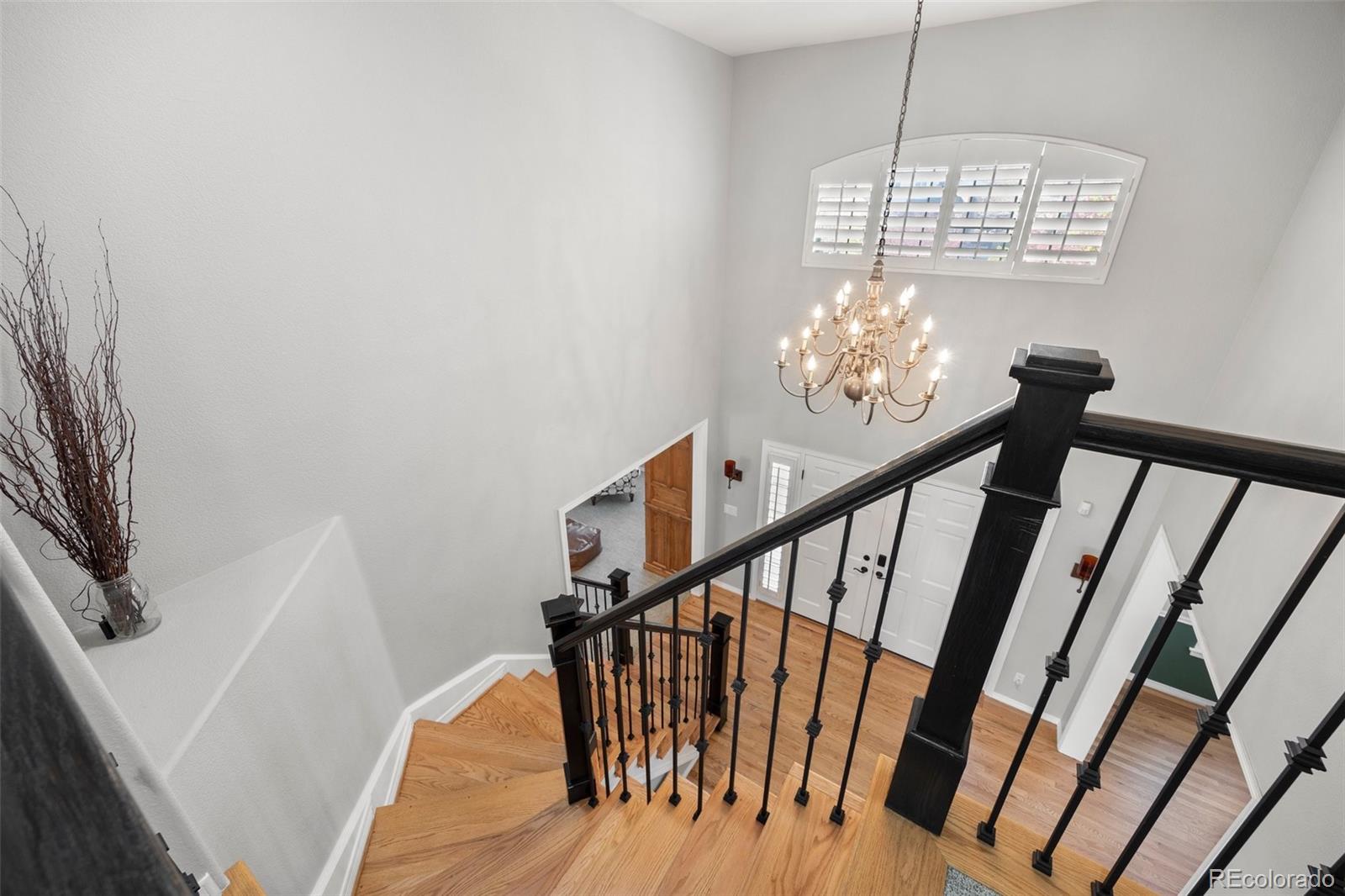 MLS Image #26 for 404  yarrow place,castle pines, Colorado