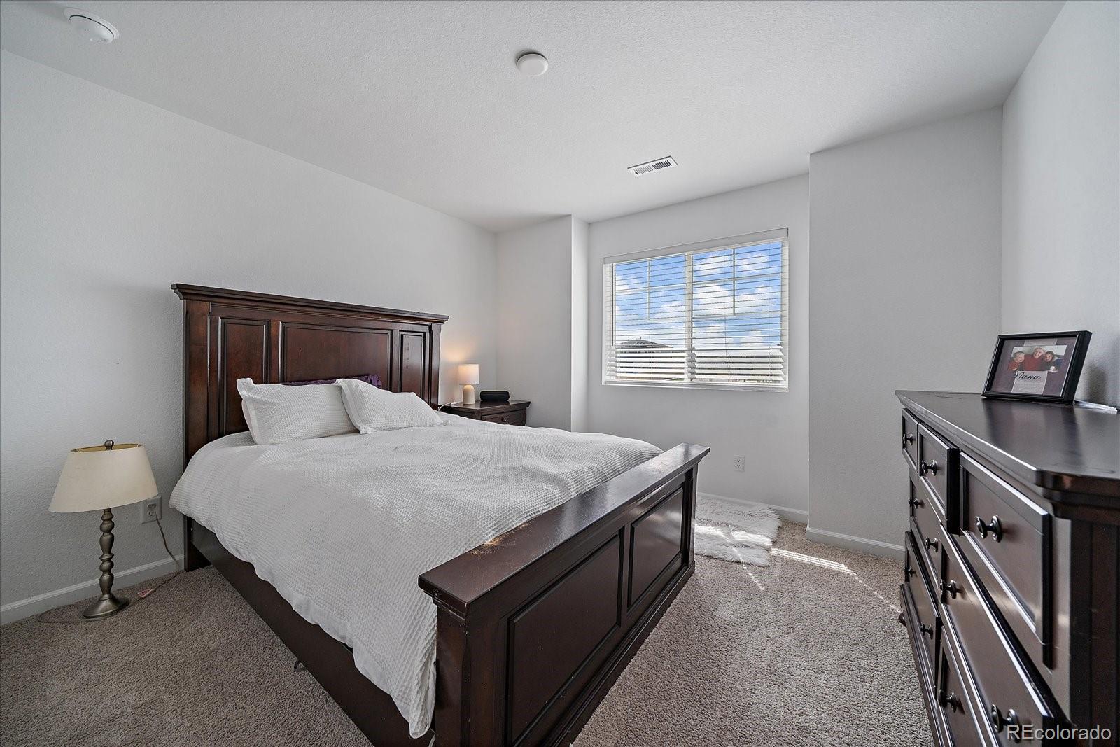 MLS Image #20 for 14268  hop clover trail,parker, Colorado