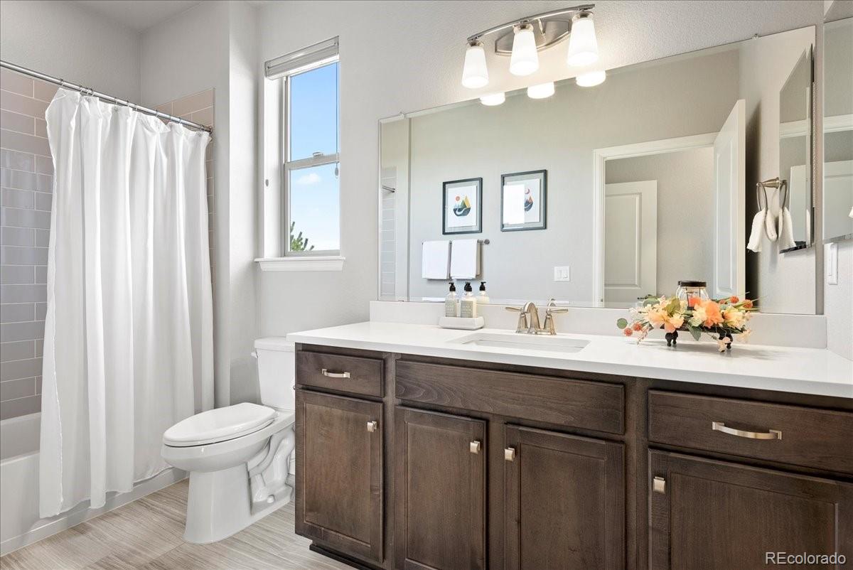 MLS Image #13 for 7950  piney river avenue,littleton, Colorado