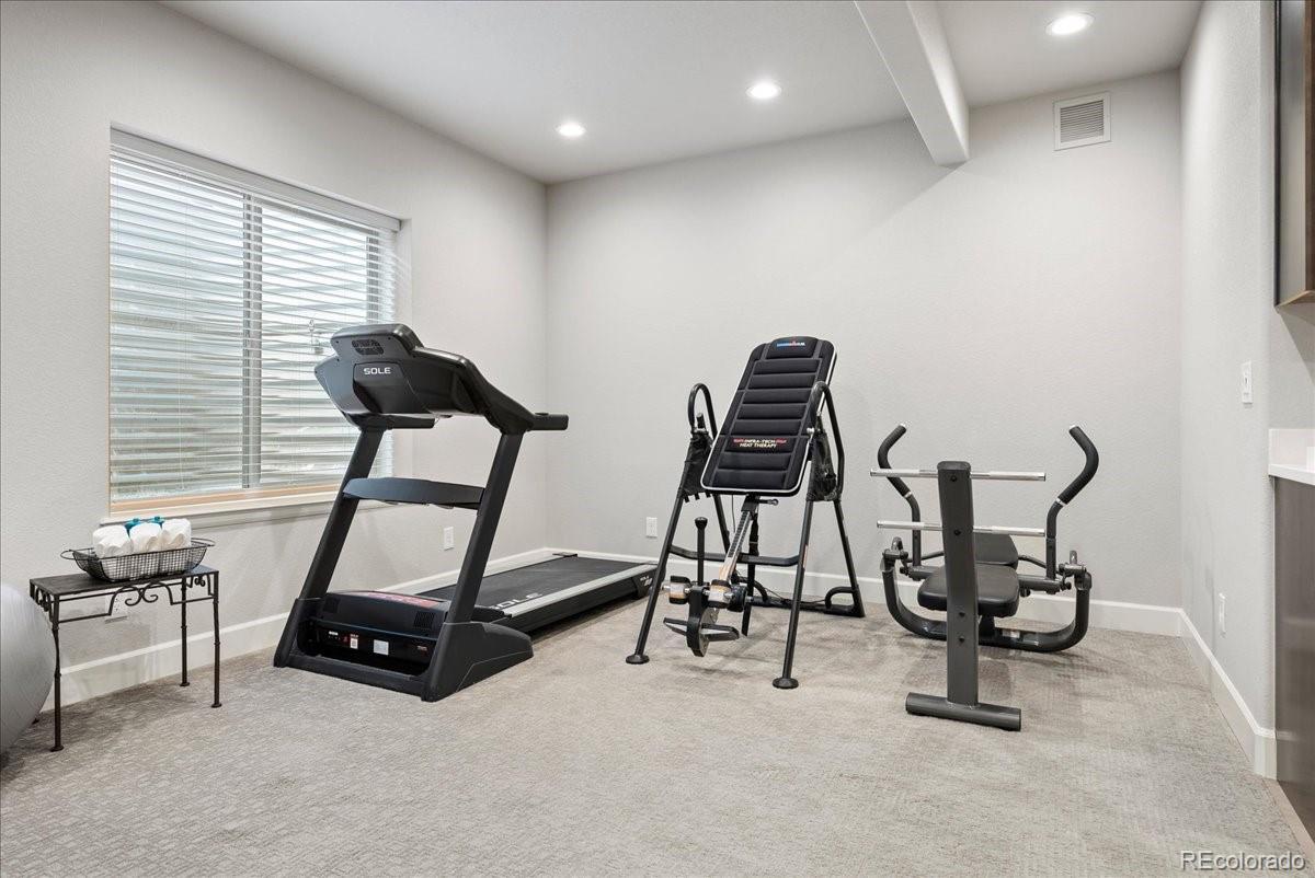 MLS Image #20 for 7950  piney river avenue,littleton, Colorado