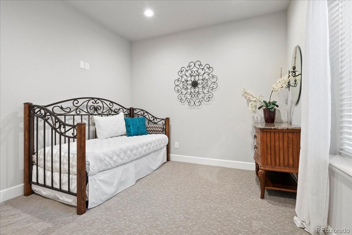 MLS Image #21 for 7950  piney river avenue,littleton, Colorado