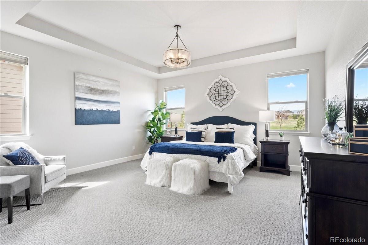 MLS Image #7 for 7950  piney river avenue,littleton, Colorado