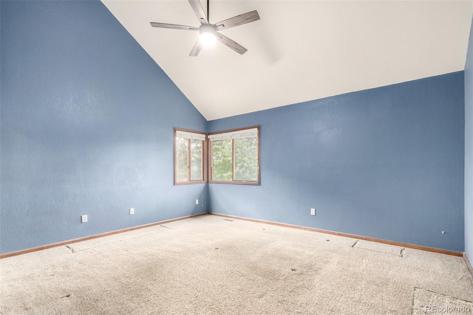 MLS Image #15 for 5421 s vivian street,littleton, Colorado