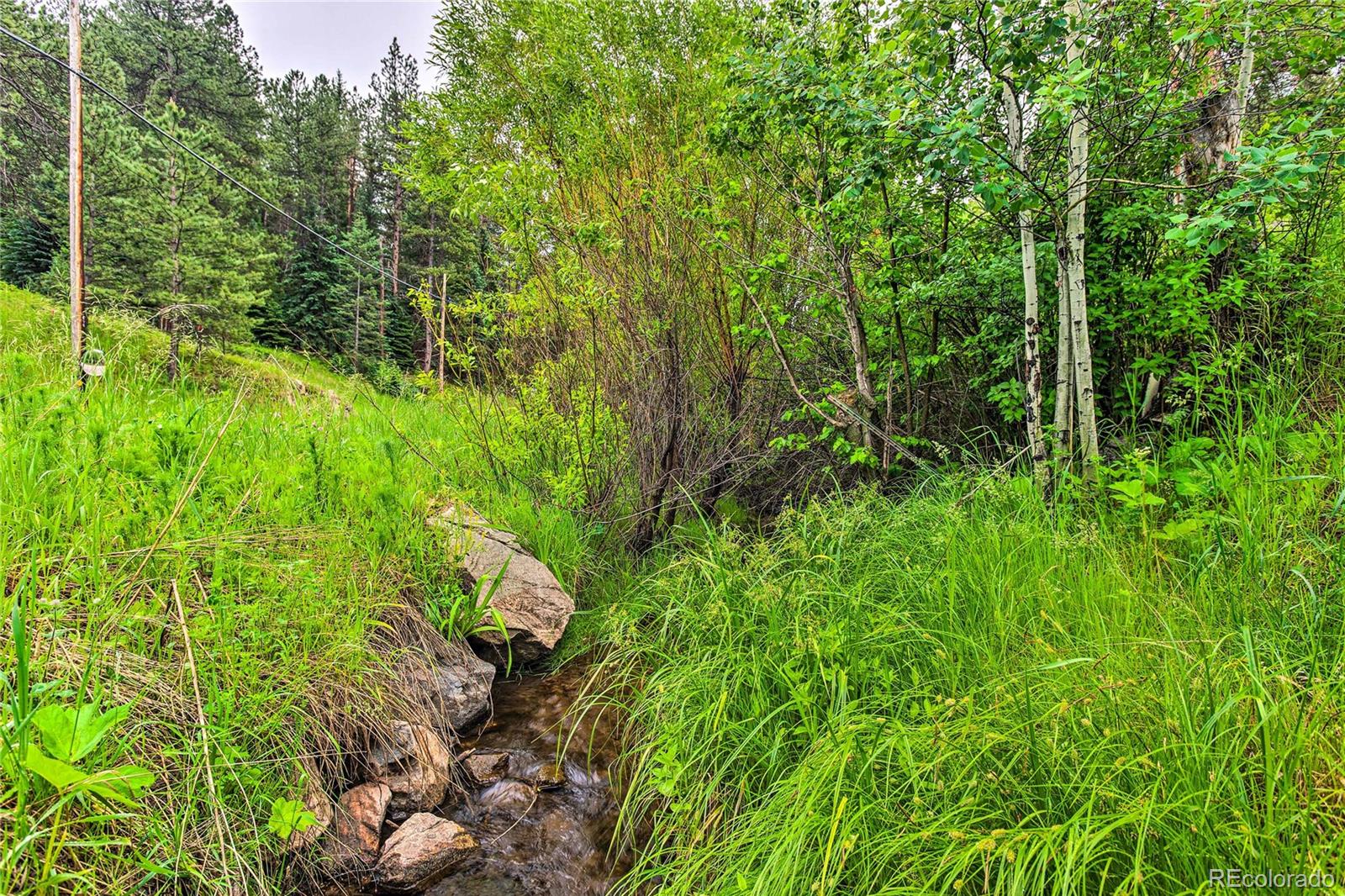 MLS Image #32 for 7559 s turkey creek road,morrison, Colorado