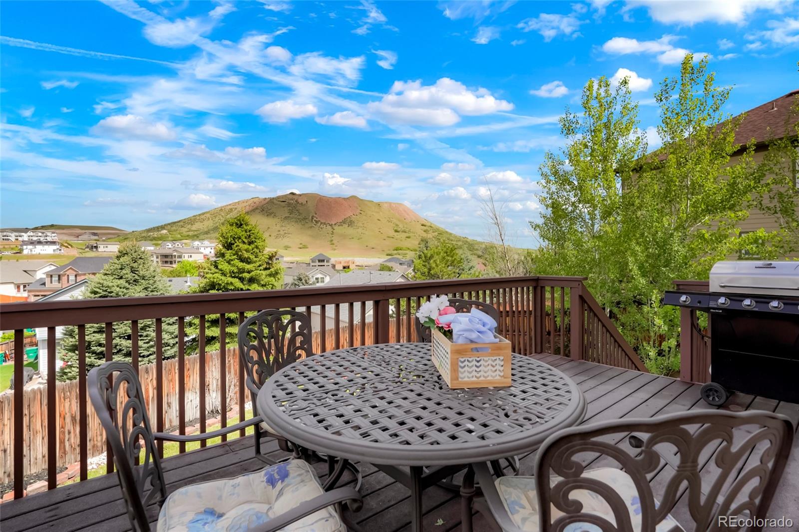 MLS Image #11 for 737  novick court,castle rock, Colorado