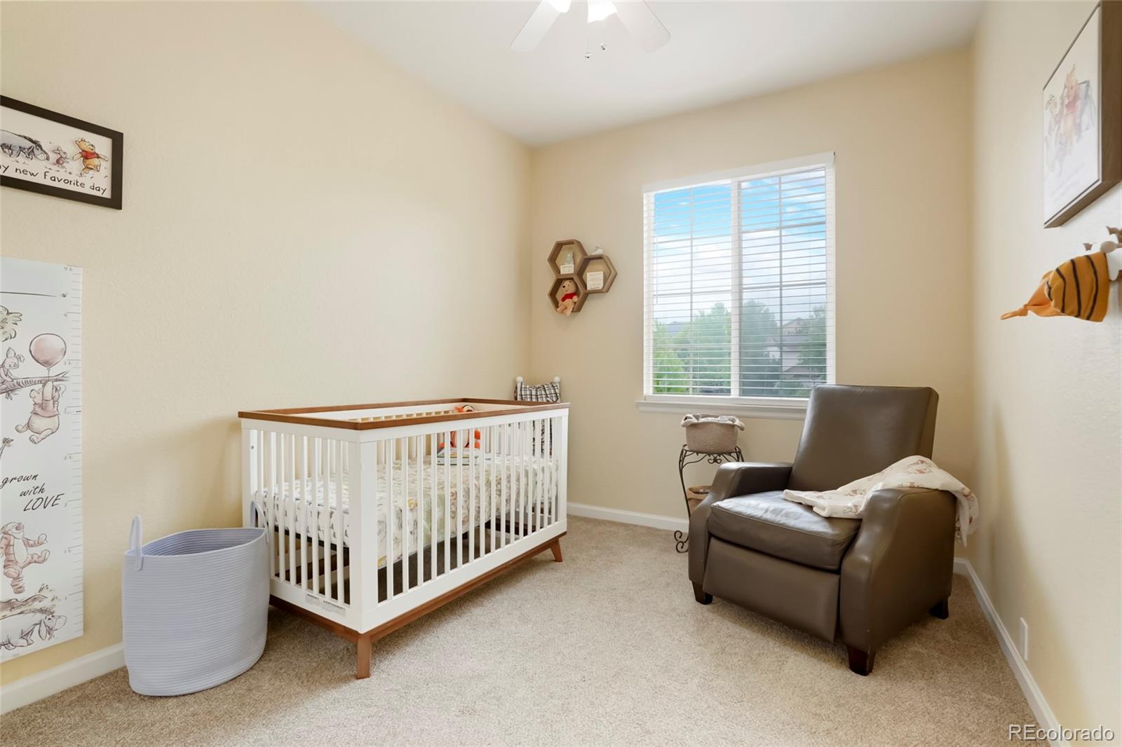 MLS Image #15 for 737  novick court,castle rock, Colorado