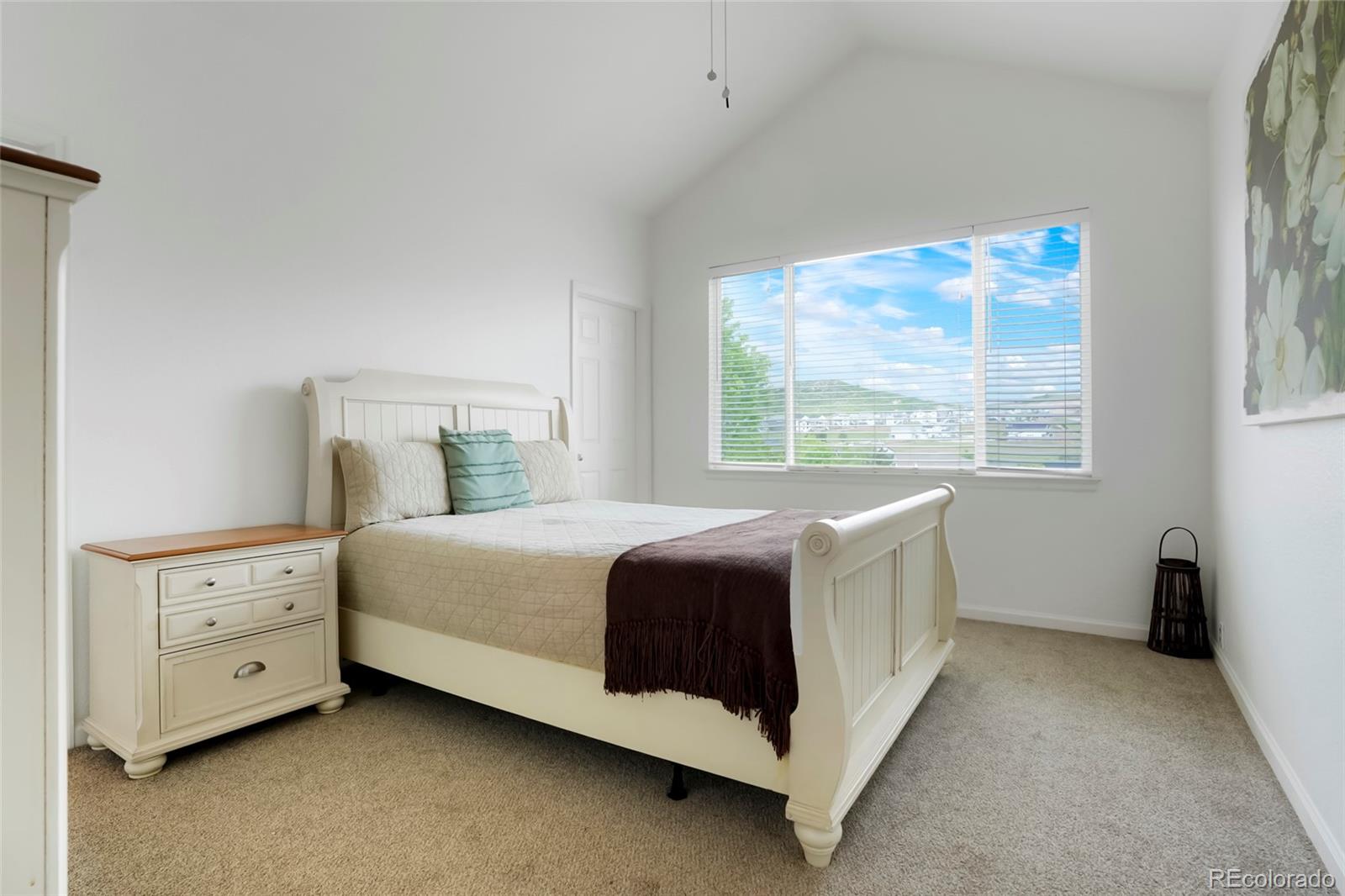 MLS Image #18 for 737  novick court,castle rock, Colorado