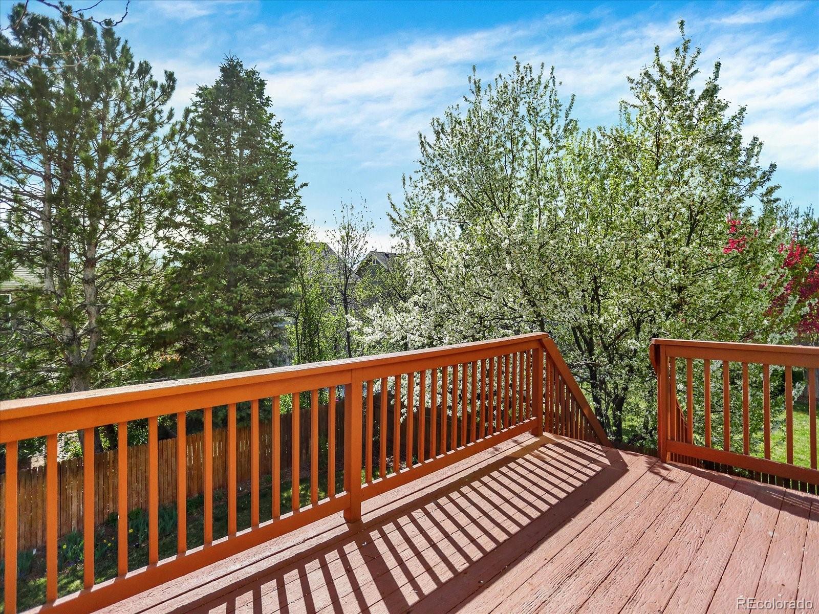 MLS Image #34 for 8380  blackgum street,parker, Colorado