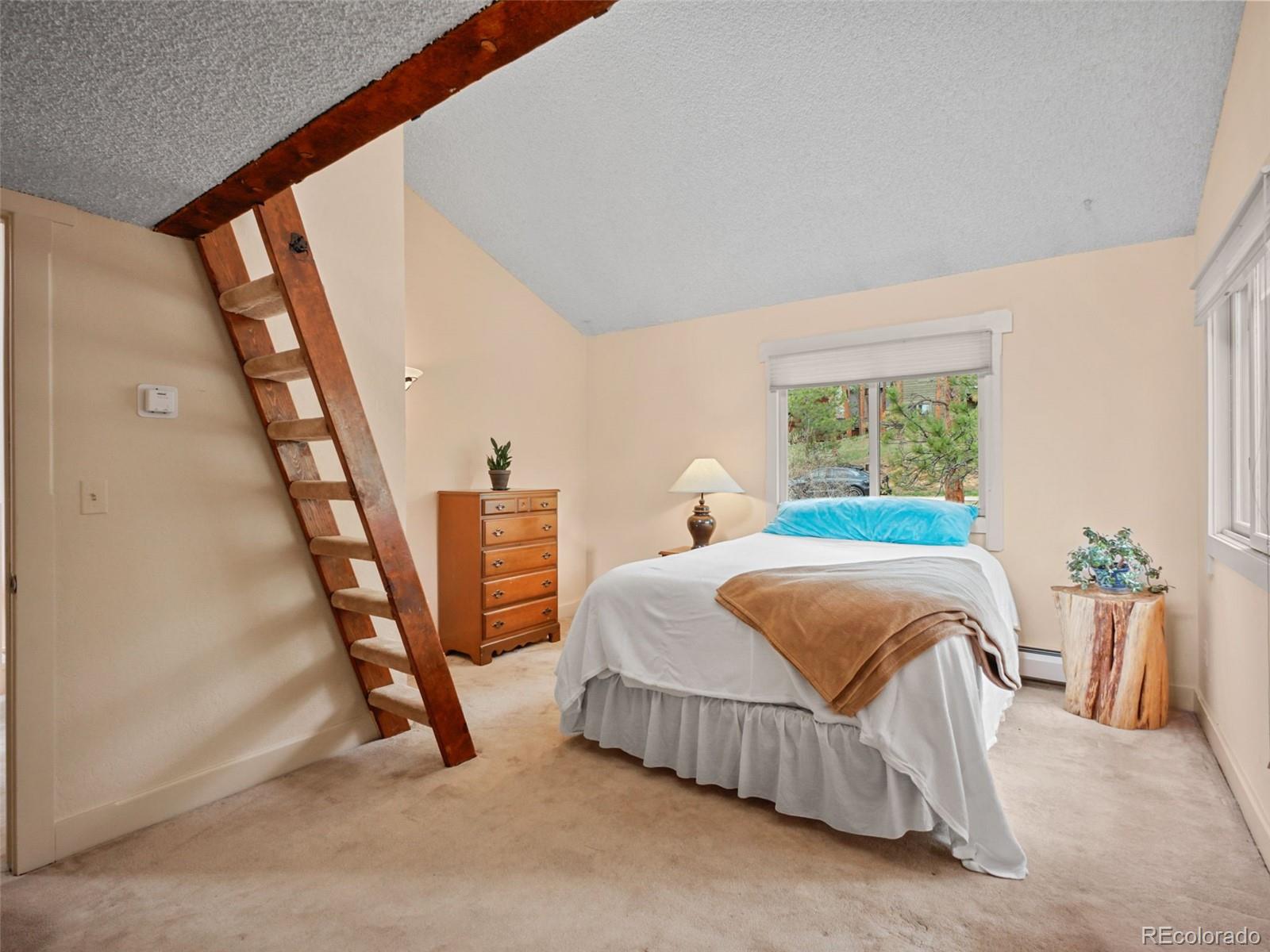 MLS Image #26 for 4198  timbervale drive,evergreen, Colorado