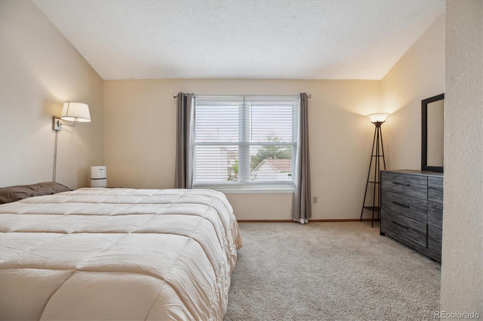 MLS Image #10 for 7665 s steele street,centennial, Colorado
