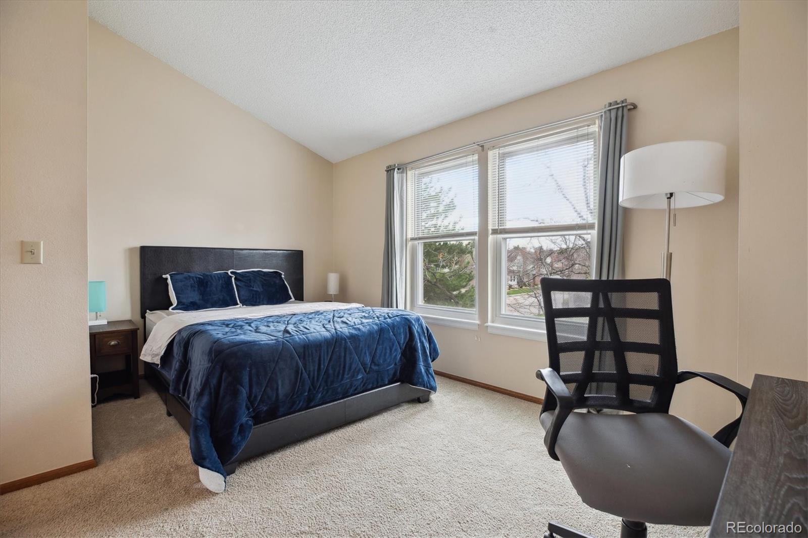 MLS Image #7 for 7665 s steele street,centennial, Colorado