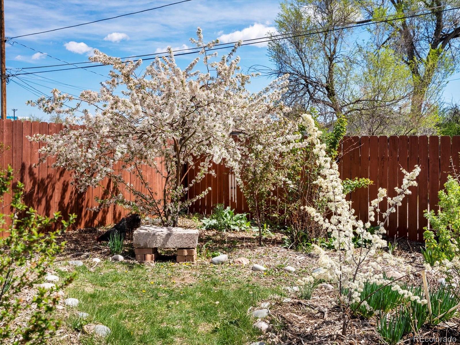 MLS Image #3 for 6640  grove street,denver, Colorado