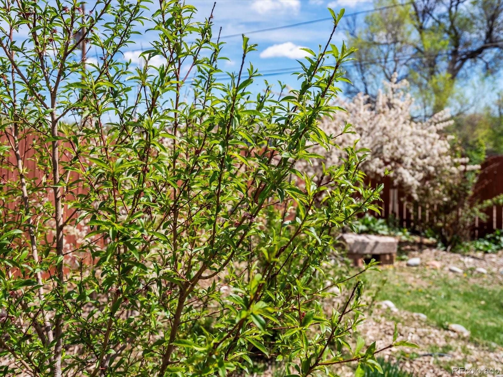 MLS Image #38 for 6640  grove street,denver, Colorado