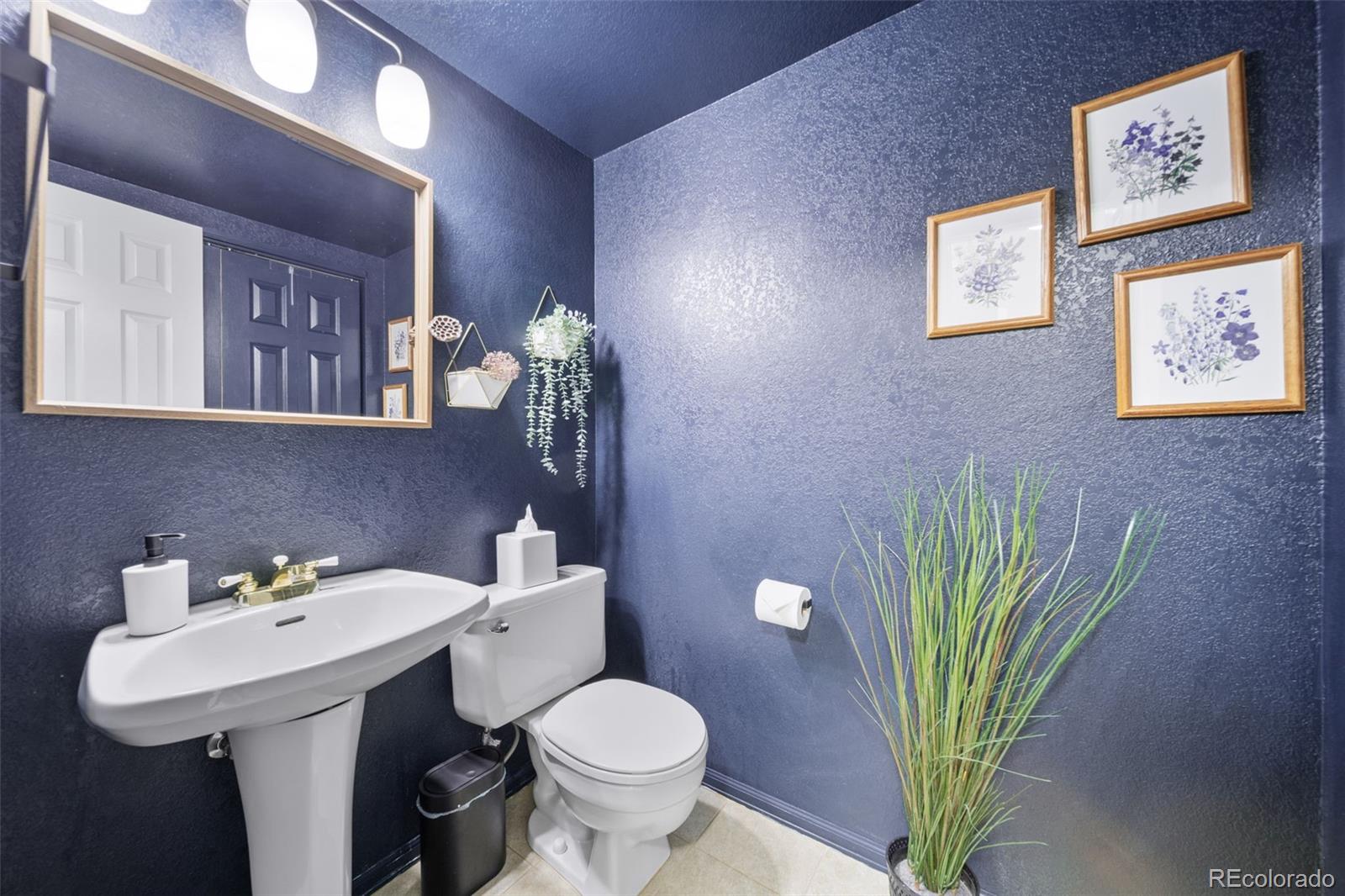 MLS Image #20 for 7072  palisade drive,highlands ranch, Colorado