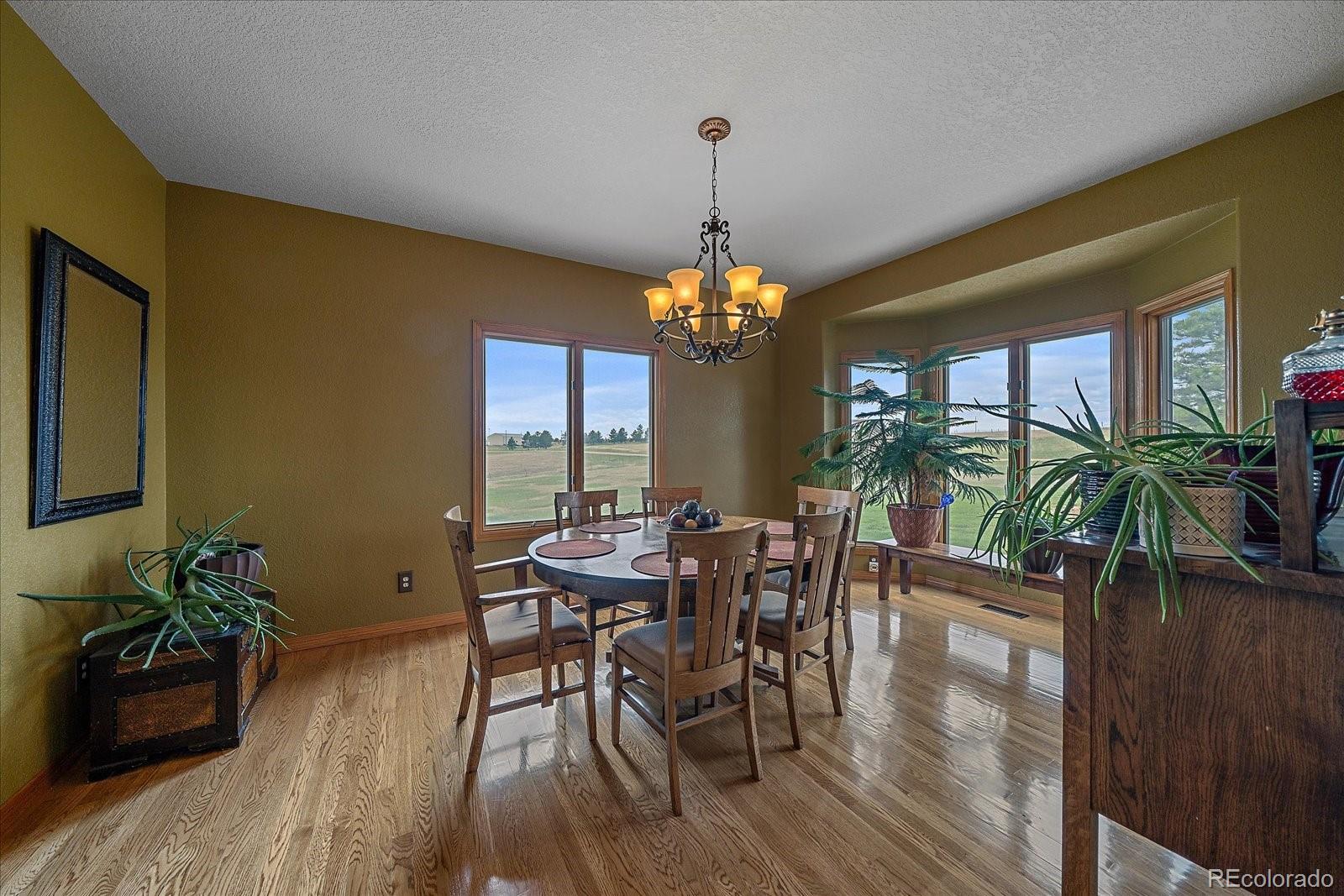 MLS Image #20 for 330 n rocky cliff trail,franktown, Colorado