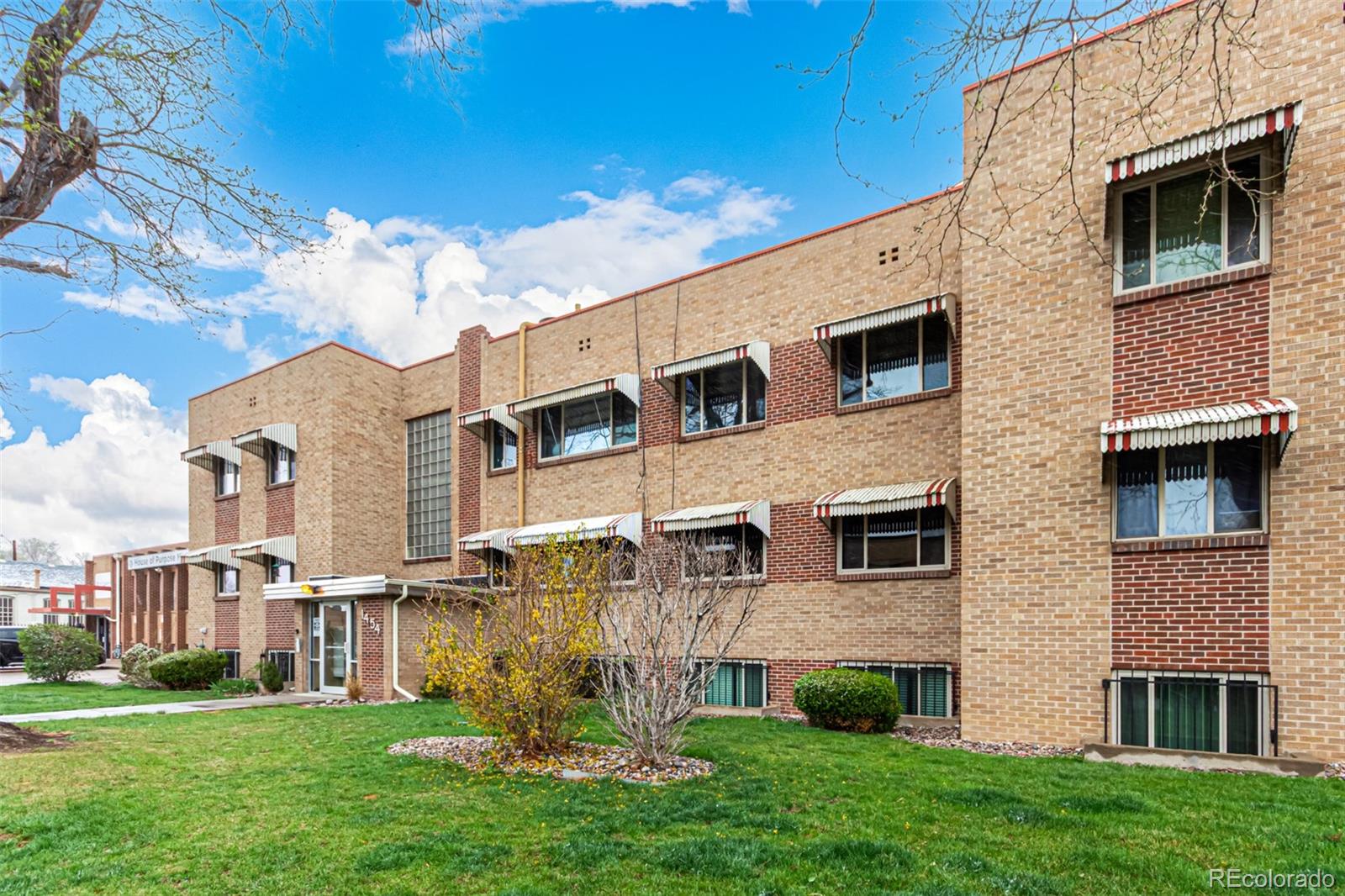 MLS Image #17 for 1454  jersey street,denver, Colorado