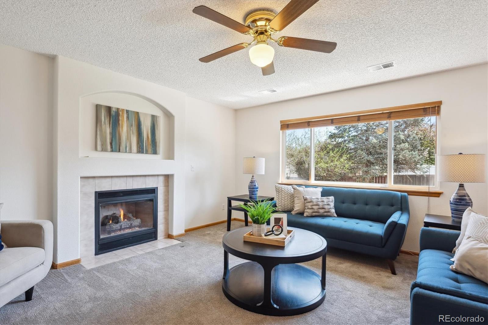 MLS Image #19 for 9652  cove creek drive,highlands ranch, Colorado