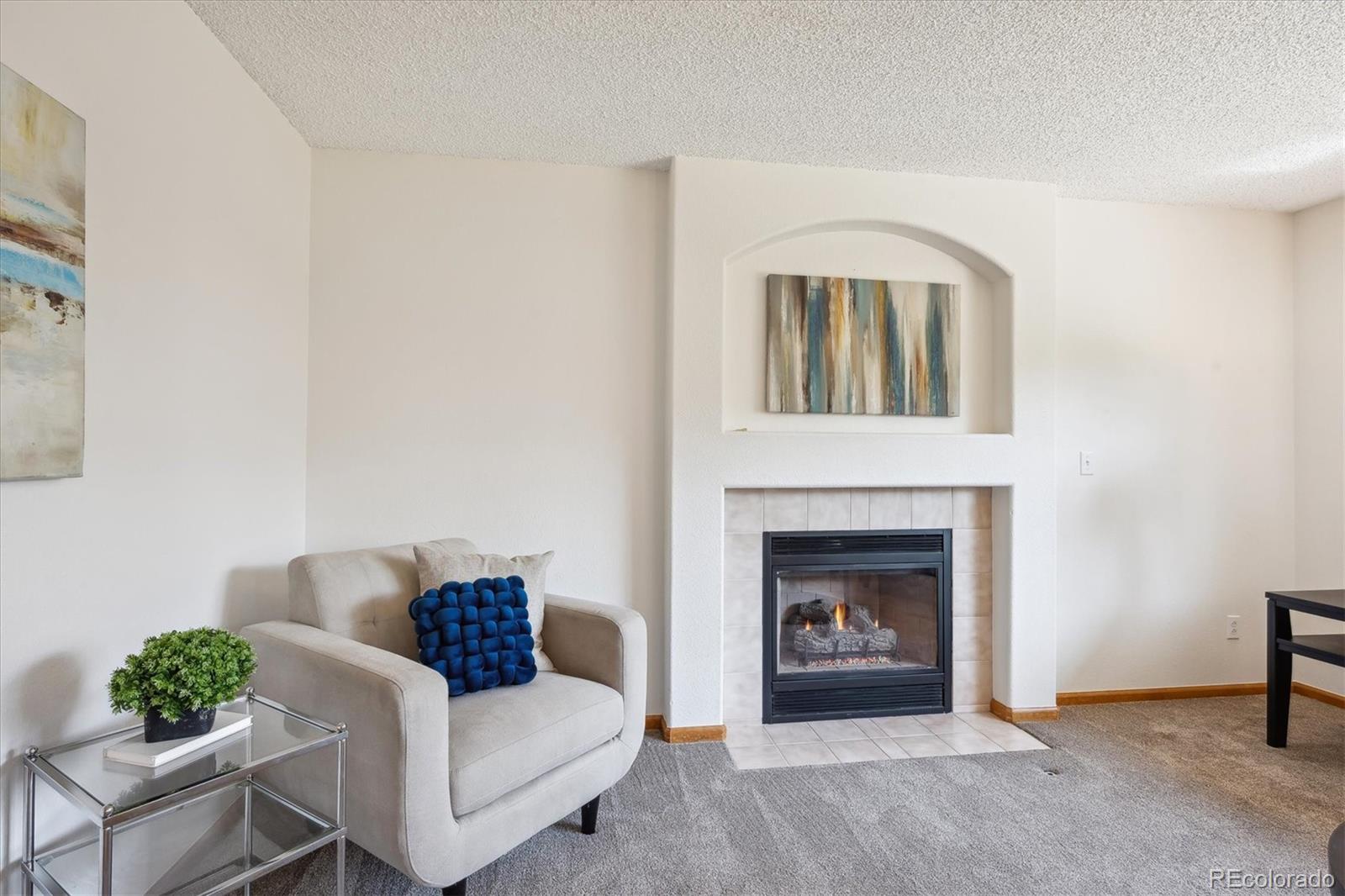 MLS Image #21 for 9652  cove creek drive,highlands ranch, Colorado
