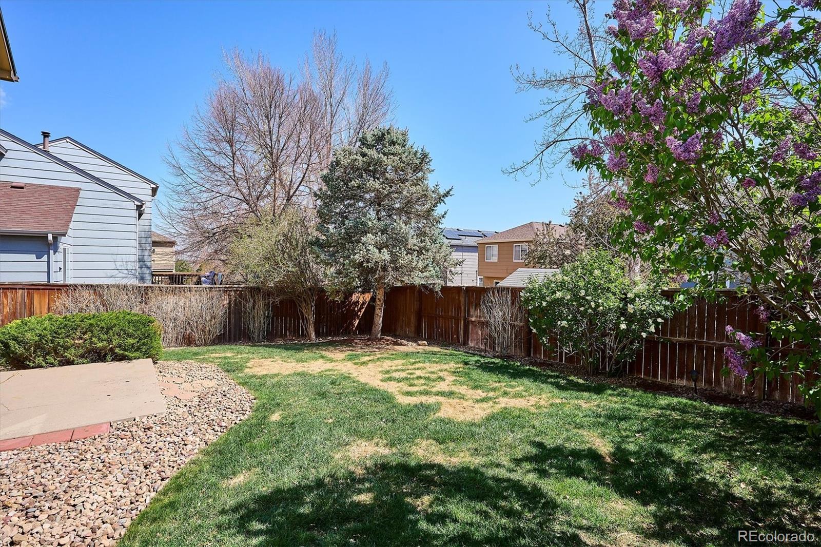 MLS Image #44 for 9652  cove creek drive,highlands ranch, Colorado