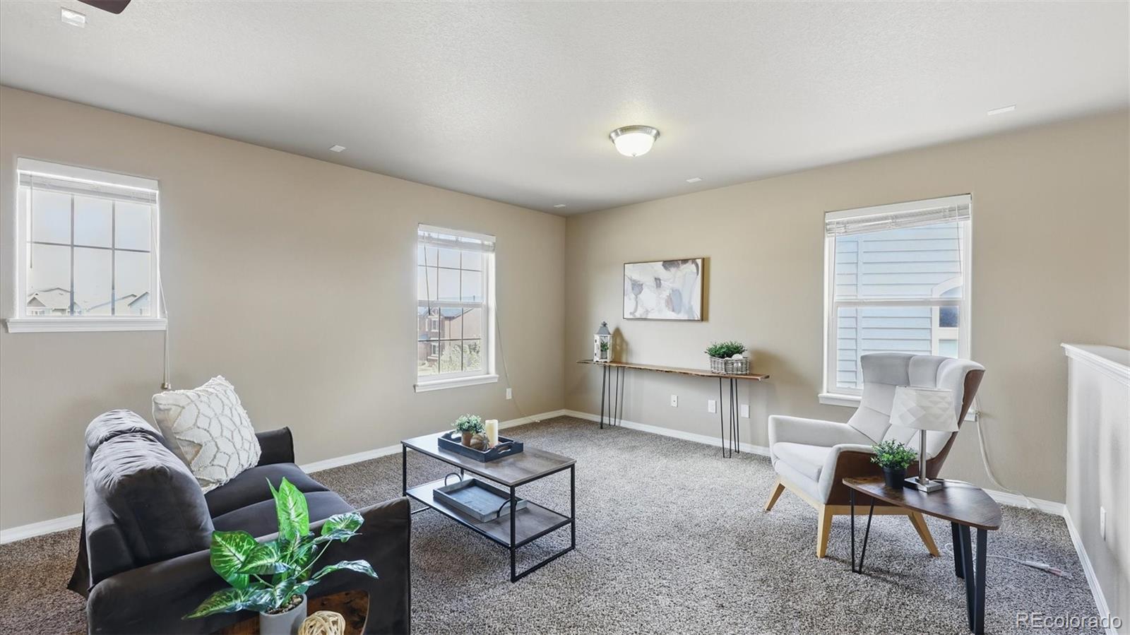 MLS Image #26 for 8308  needle drop court,colorado springs, Colorado