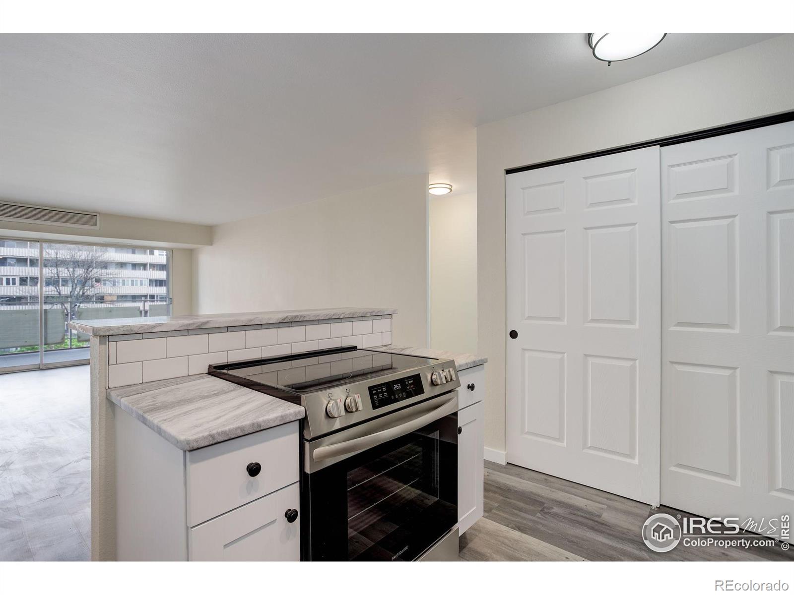MLS Image #8 for 1121  albion street,denver, Colorado