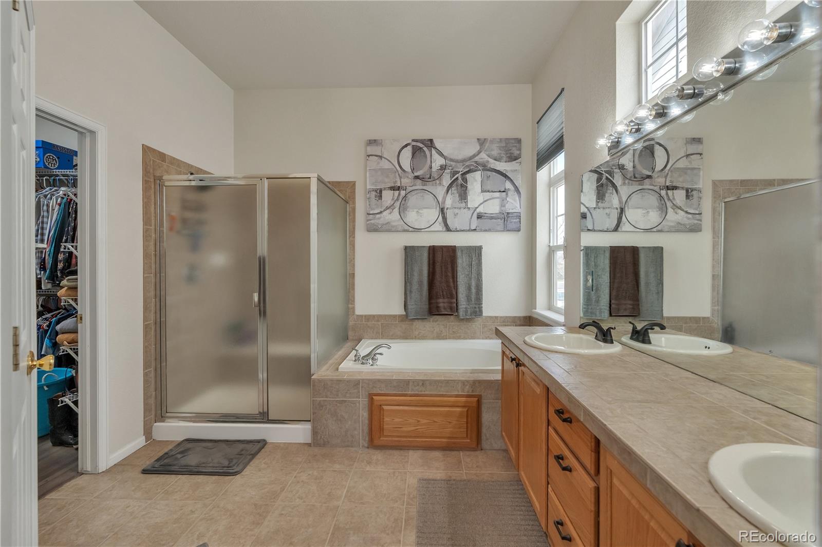 MLS Image #11 for 1560 s goldbug circle,aurora, Colorado