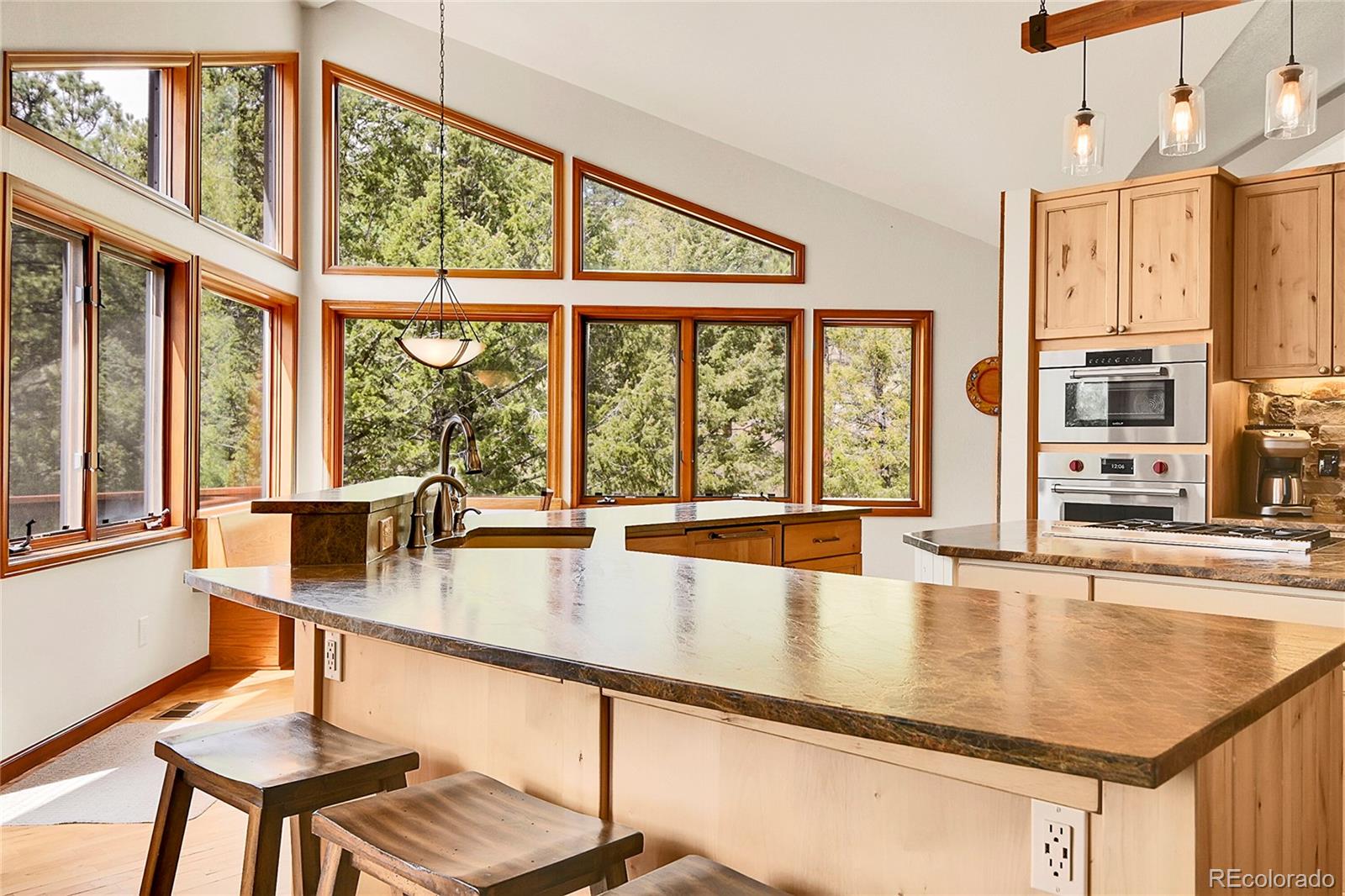 MLS Image #11 for 3726  spring valley trail,evergreen, Colorado
