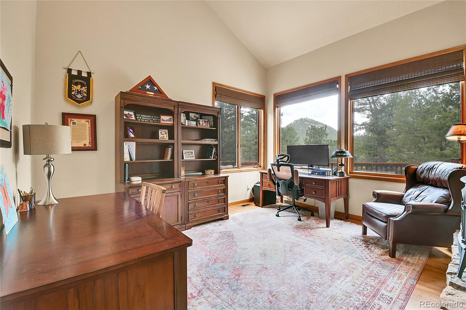 MLS Image #24 for 3726  spring valley trail,evergreen, Colorado