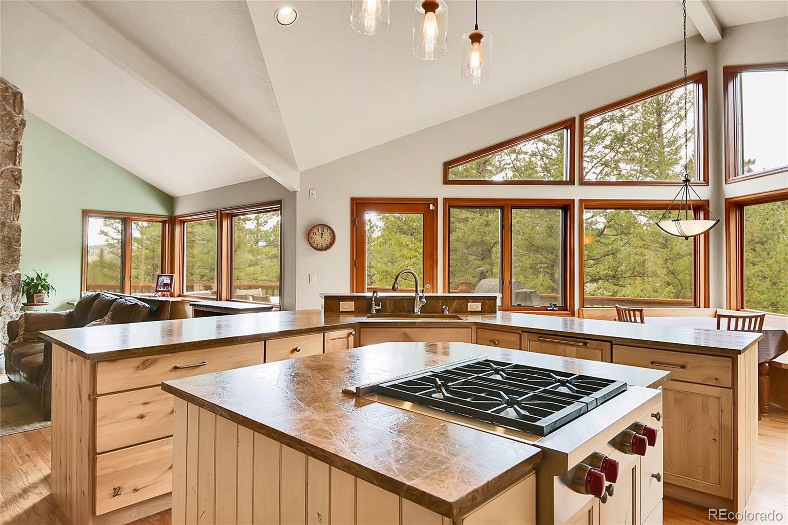 MLS Image #8 for 3726  spring valley trail,evergreen, Colorado