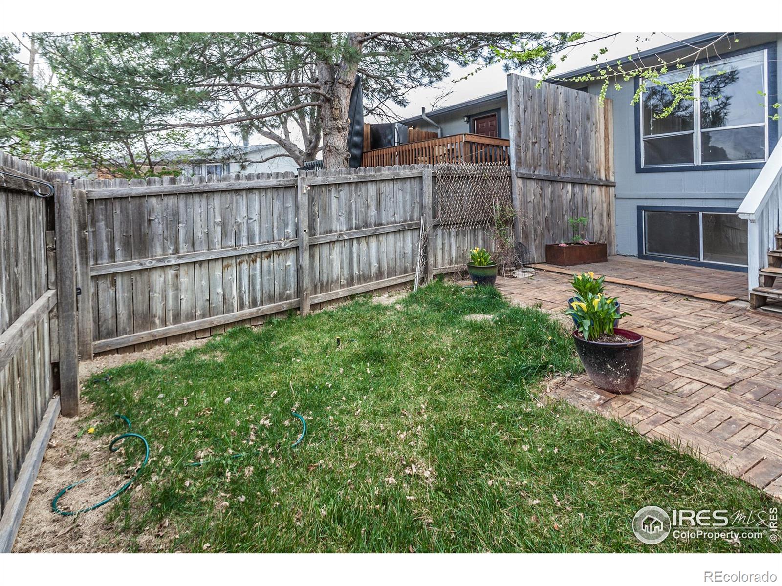 MLS Image #33 for 1733  azalea drive,fort collins, Colorado