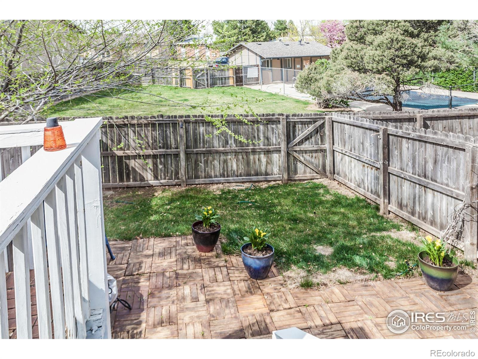 MLS Image #38 for 1733  azalea drive,fort collins, Colorado